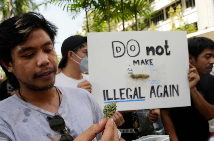  Thai marijuana boosters rally to keep drug decriminalized