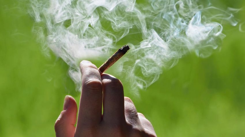  Marijuana may be more harmful to lungs than cigarettes, study suggests