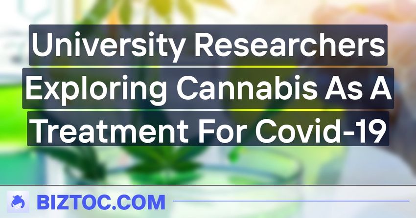  University Researchers Exploring Cannabis As A Treatment For Covid-19