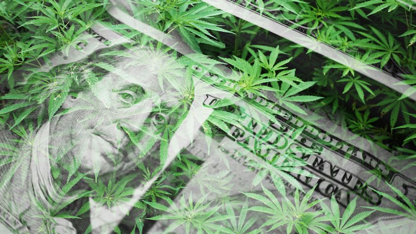  Report: Legal Cannabis Once Again Ranks Among Nation’s Most Valuable Crops