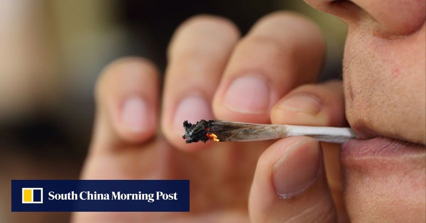  Smoking marijuana may do more harm to your lungs than smoking tobacco, a new study suggests