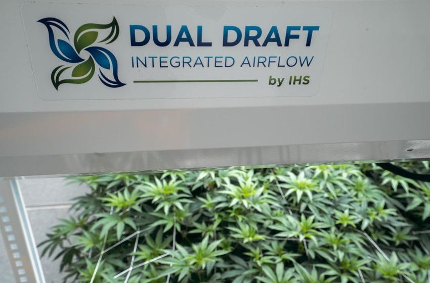  Dual Draft is the Latest Cannabis Company to Join Sweet Leaf Madison Capital’s Preferred Vendor Program