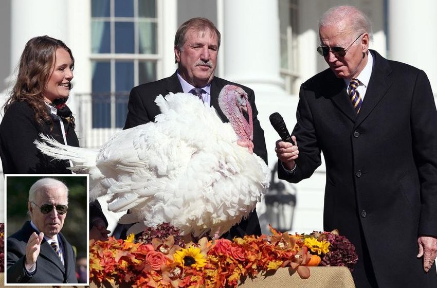  Biden cracks ‘red wave’ joke at turkey pardon as Thanksgiving gets pricier