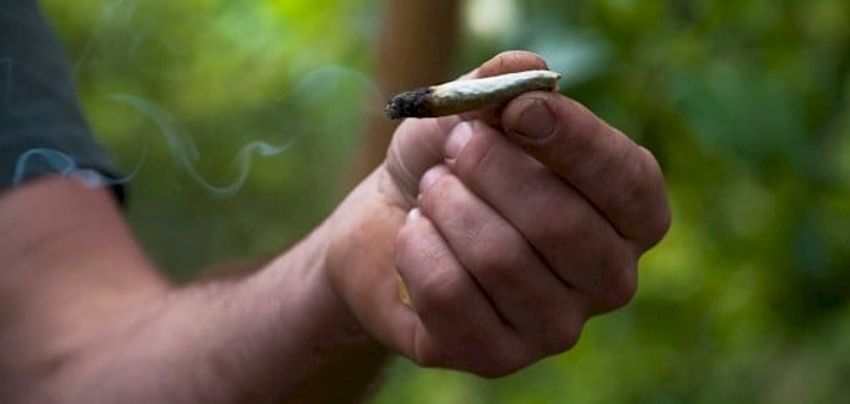  Marijuana smokers are MORE likely to develop lung disease than cigarette users