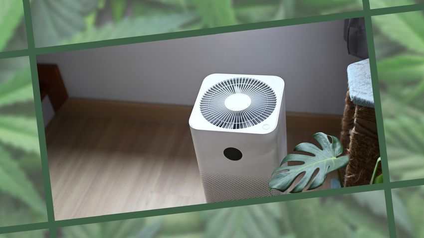  The 5 Best Air Purifiers for Weed Smokers