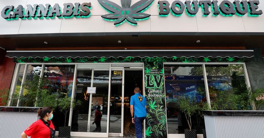  APEC host Thailand’s budding marijuana industry faces backlash