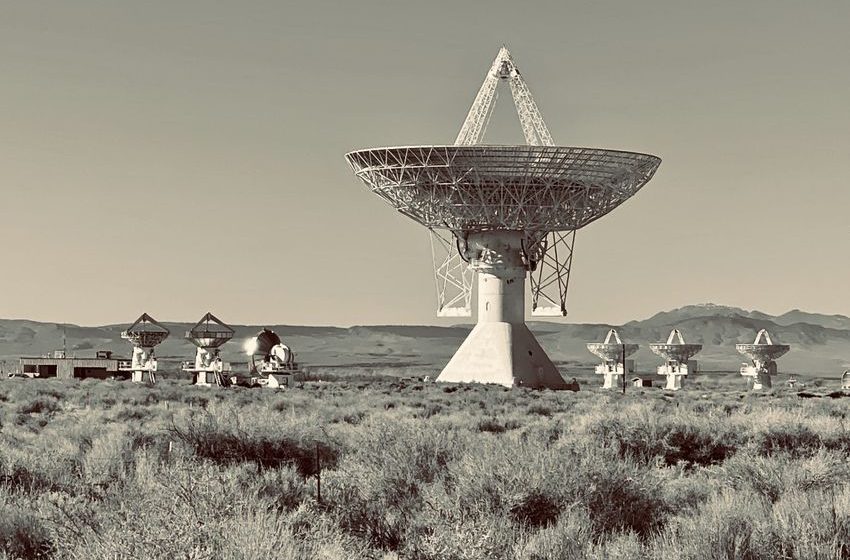  Roaming Charges: The Search for Intelligent Life in American Politics