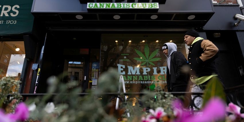  NYC’s unlicensed marijuana shops are daring the state to shut them down: ‘Please bring the battle. We’re ready.’