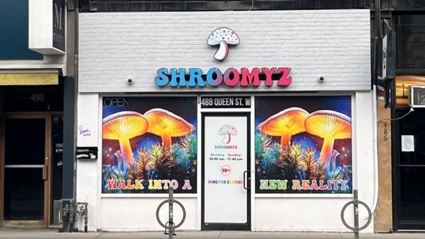  Police will keep raiding Toronto magic mushroom dispensary if city doesn’t step up, says expert