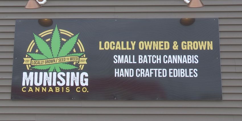  Munising Cannabis Company becomes first micro business in U.P. – WLUC