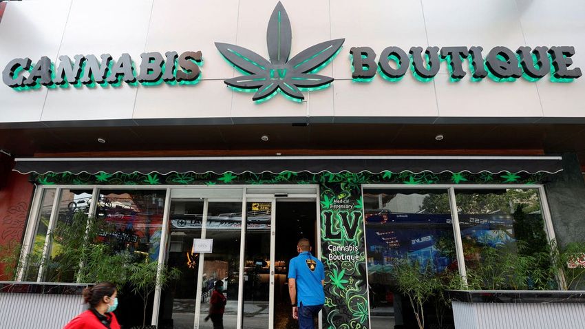  Thailand’s legalization of marijuana faces backlash