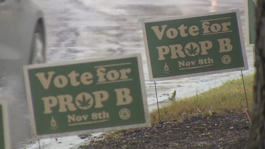  Denton County Election: Prop B could decriminalize low-level marijuana