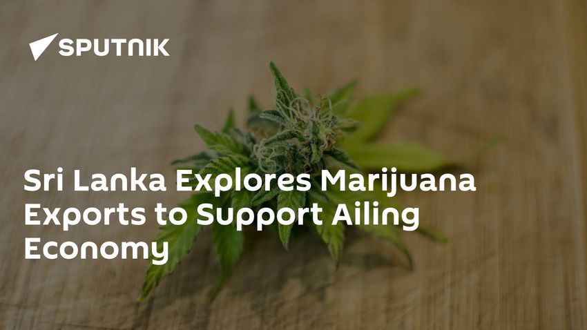  Sri Lanka Explores Marijuana Exports to Support Ailing Economy