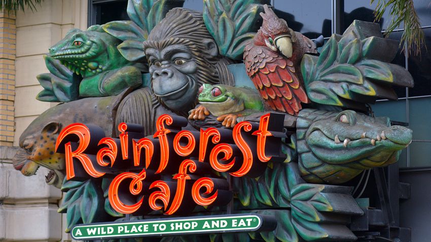  Marijuana Illinois: Battle brewing over company’s bid to set up a weed dispensary inside old Rainforest Cafe