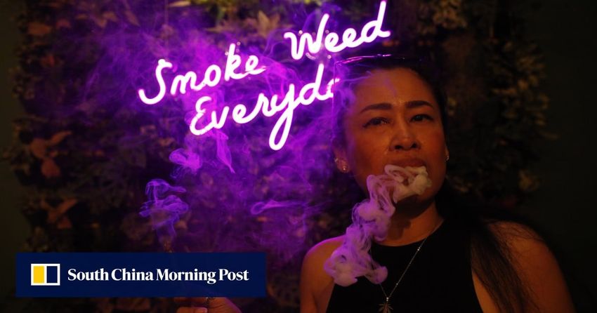  Thailand tweaks cannabis rules as lawmakers lash out at recreational use