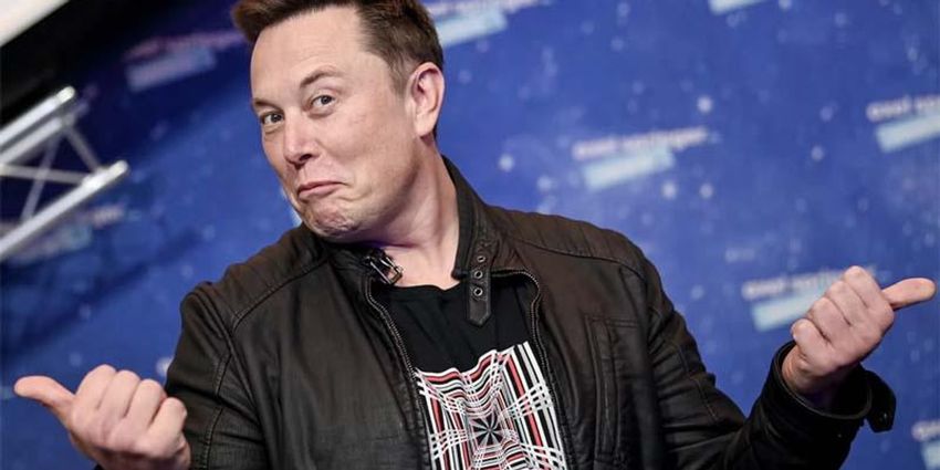  A plan to stop Elon Musk