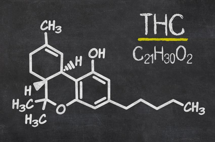  What’s CBD with Delta-9 and what does it mean for my health?