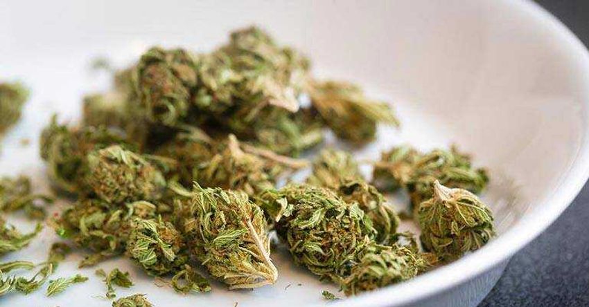  Top 10 Health Benefits of Cannabis – NewsBreak