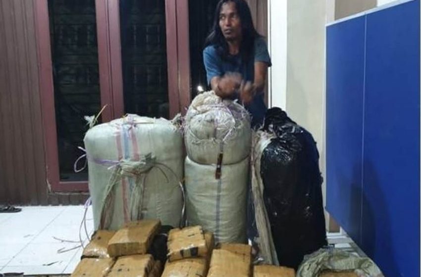  North Sumatran police arrest courier, seize 20 kg of marijuana