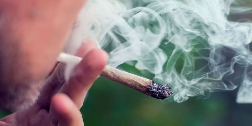  New research disputes the “lazy stoner” stereotype