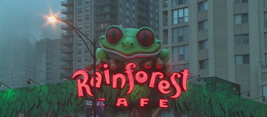  Old Rainforest Cafe site gets zoning OK for weed dispensary