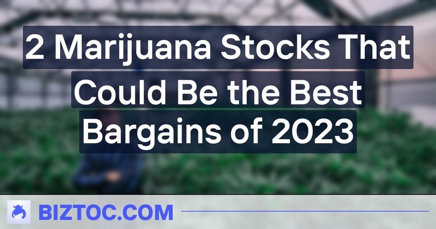  2 Marijuana Stocks That Could Be the Best Bargains of 2023