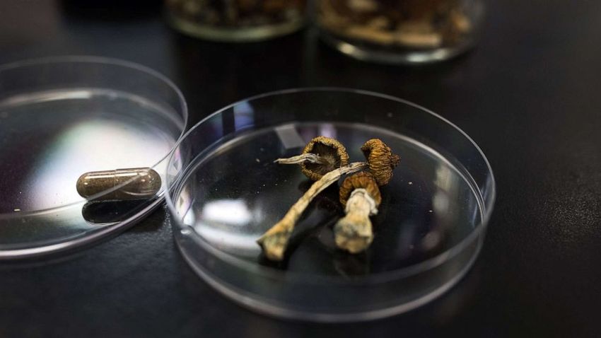  Legalized mushrooms, psychedelics approved by voters in this state