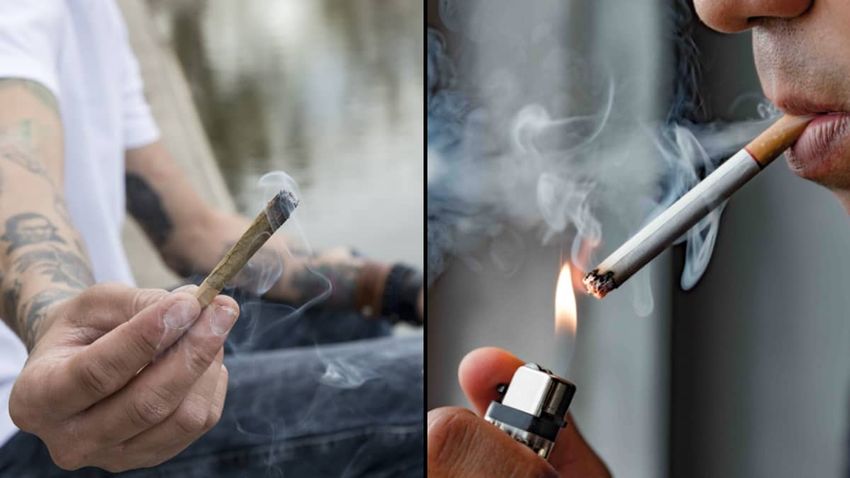  Weed smokers more likely to get lung disease than cigarette smokers, new study finds