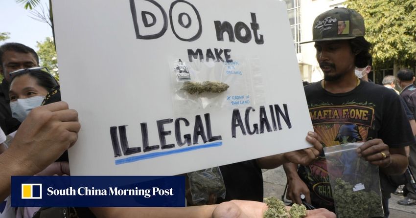  Cannabis fans fearing rollback of decriminalisation protest in Thailand