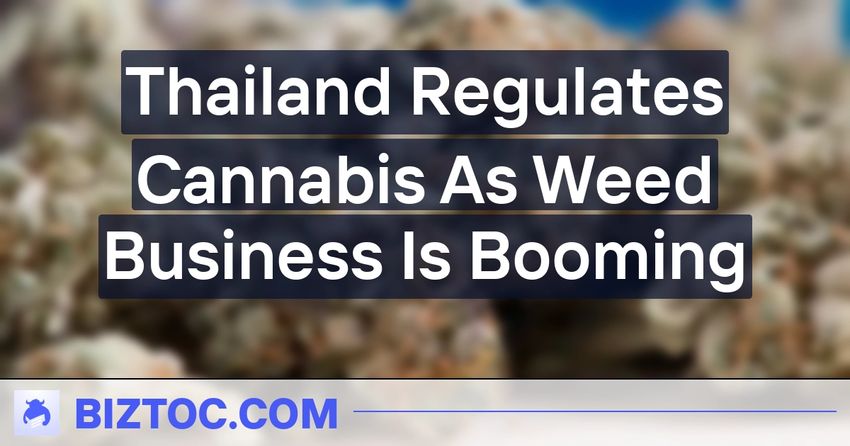  Thailand Regulates Cannabis As Weed Business Is Booming