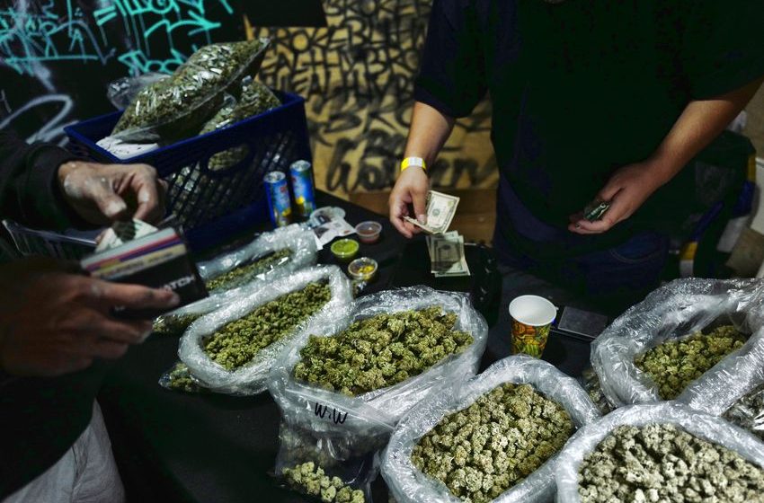  The black market strangled California’s legal weed industry. Now it’s coming for New York.