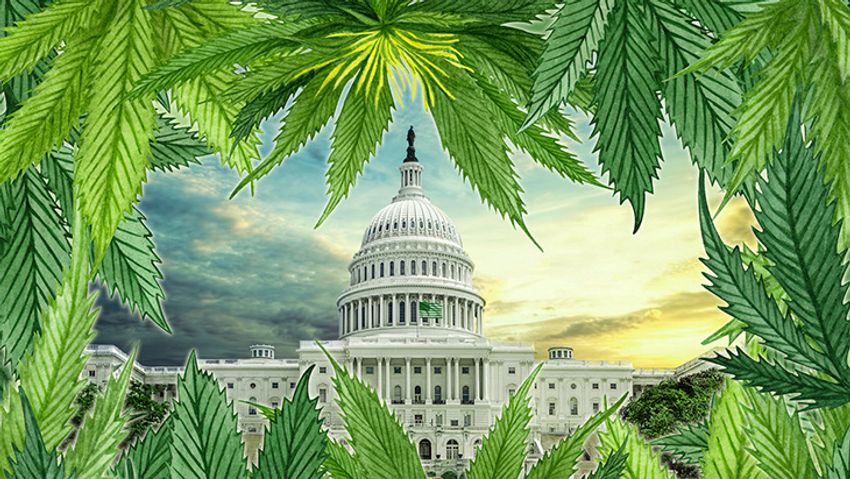  NORML Deputy Director Testifies on Marijuana Legalization Before House Subcommittee