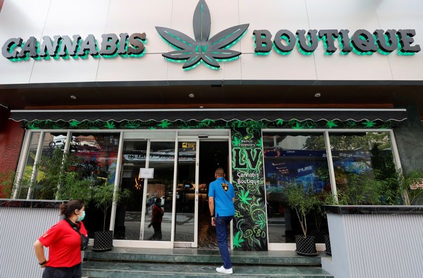  APEC Host Thailand’s Budding Marijuana Industry Faces Backlash