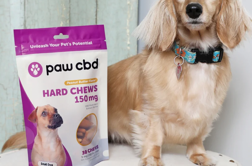  PawCBD Supports Pet Wellness With CBD Product Line