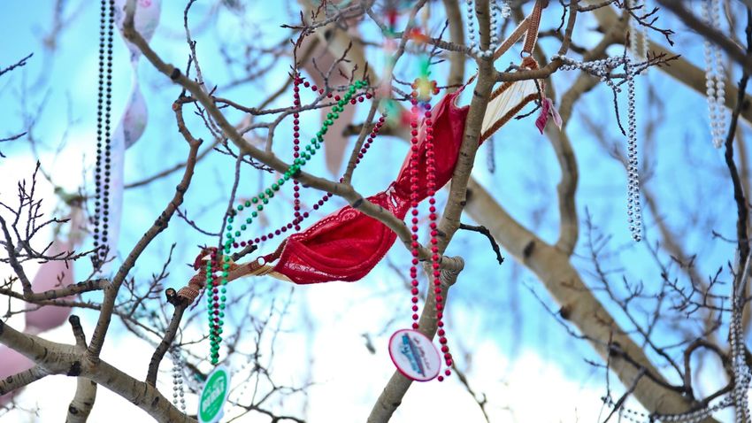  Why You Always See Bras and Panties Hanging on Trees at Ski Resorts