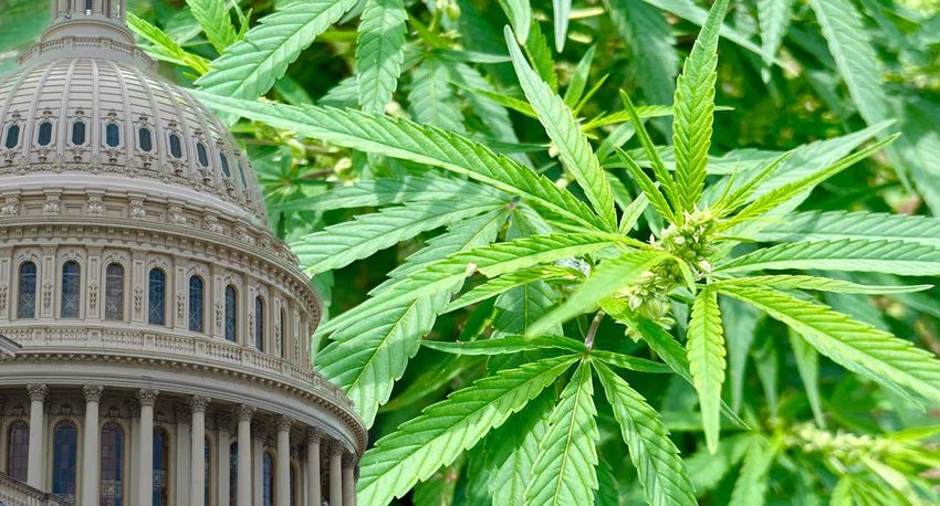  Marijuana banking legislation unlikely to make it into spending bill – Bloomberg