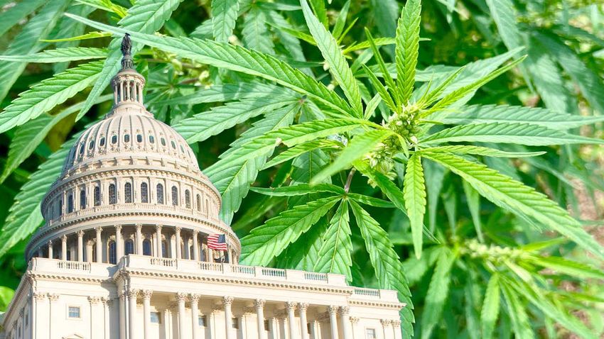  Multi-state operators hit hard as cannabis banking legislation excluded from spending bill