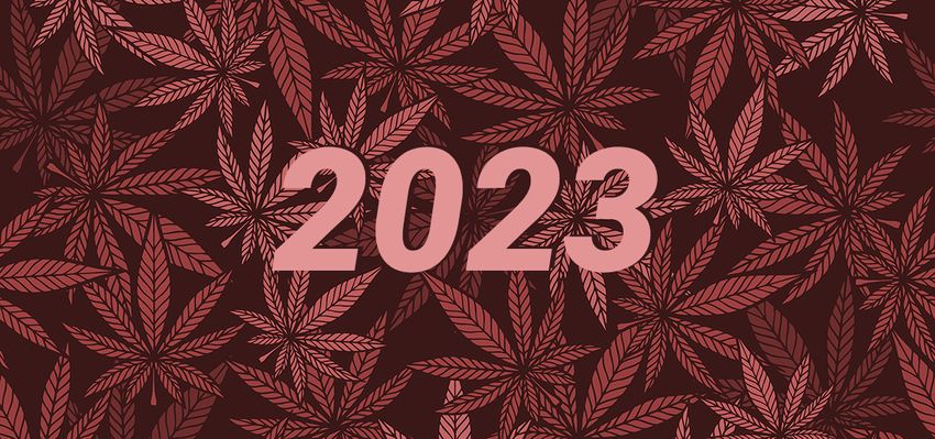  2023 Cannabis Industry Predictions: Retail, Marketing, Branding, CPG, and Education – Ganjapreneur