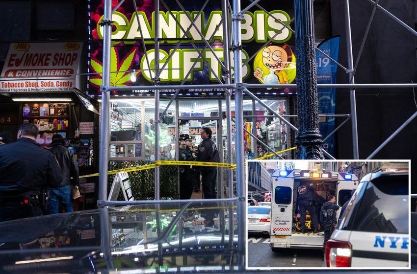  Manhattan cannabis shop employee stabbed by alleged thief