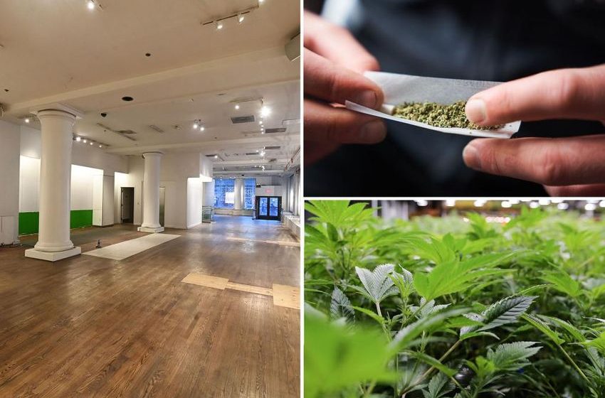  Greenwich Village to be abuzz with legal pot shops