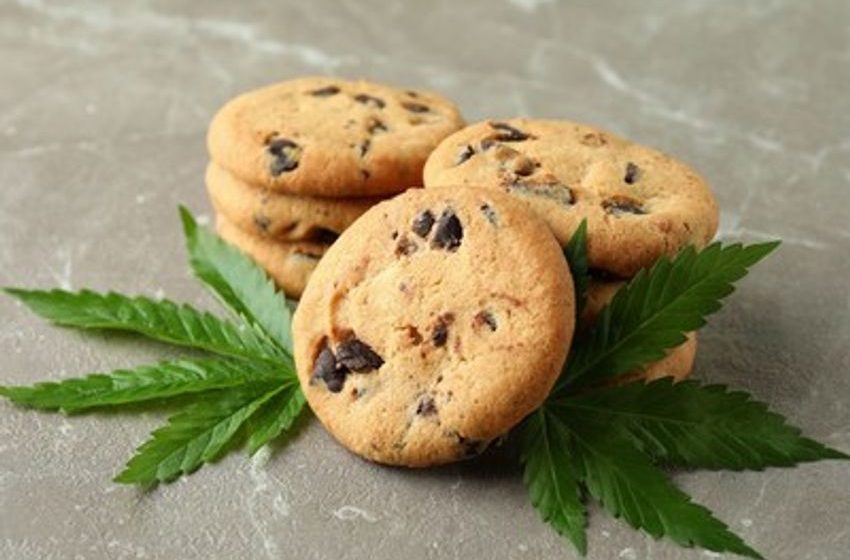  CAA survey finds people who drive high on edibles continues to rise