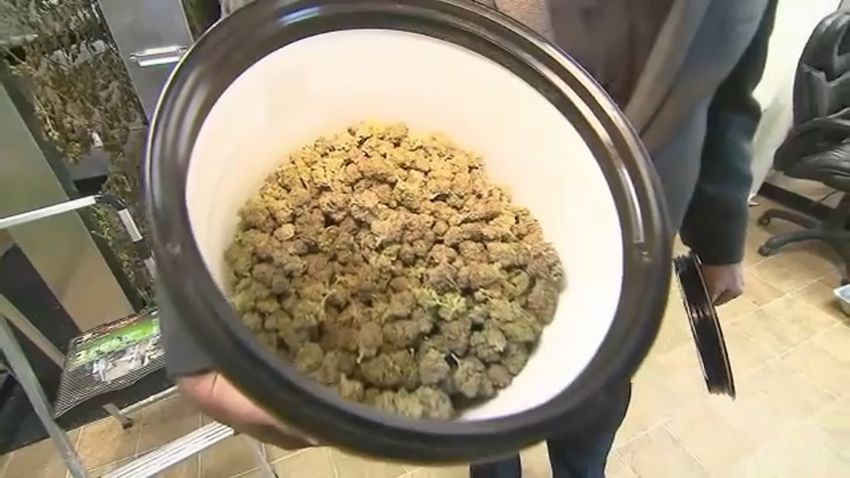  Officials say 20 unlicensed businesses in NYC were found to be selling marijuana tainted with bacteria, other harmful contaminants