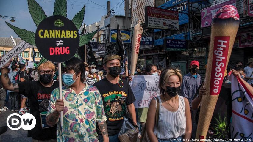  Thailand: Legal uncertainty dampens thriving weed businesses