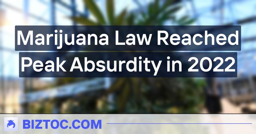  Marijuana Law Reached Peak Absurdity in 2022