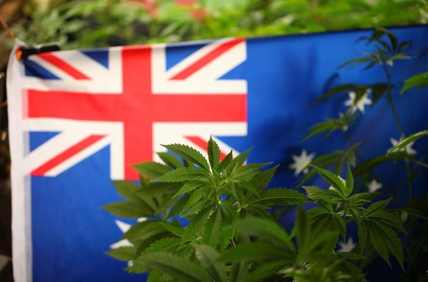  Cannabis Decriminalization Can Help Australian Taxpayers Save $850 Million A Year, Report Find