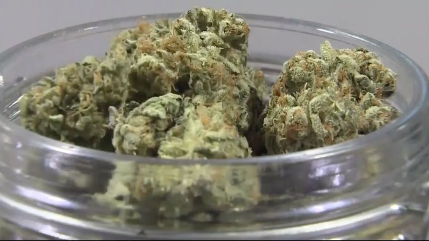  Florida sets stage for more marijuana licenses