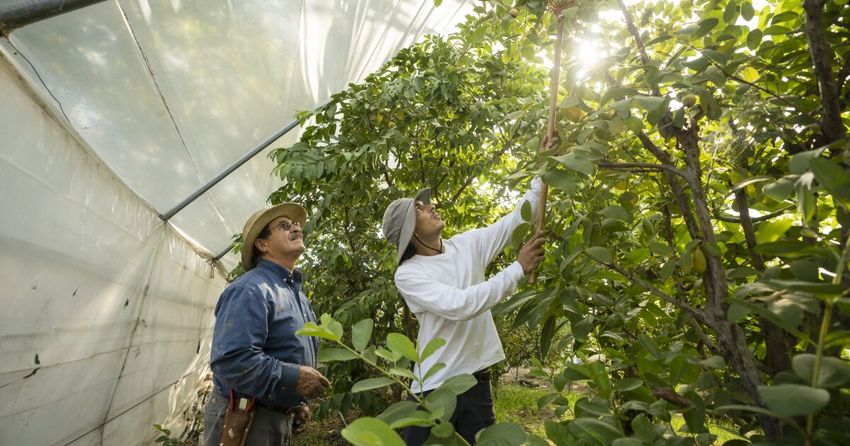  They’re harvesting carefully cultivated people in this enchanted garden