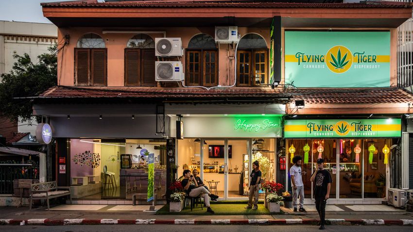  Will Legal Weed Make a Thailand Hotspot the Next Amsterdam?