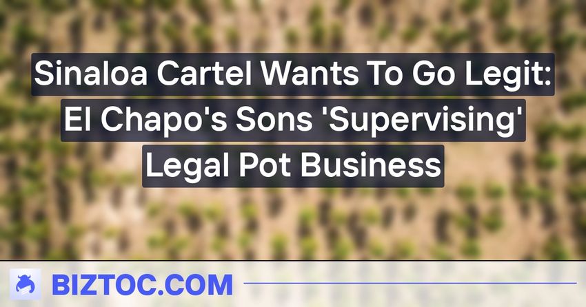  Sinaloa Cartel Wants To Go Legit: El Chapo’s Sons ‘Supervising’ Legal Pot Business