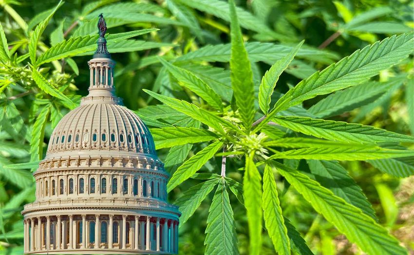  Marijuana banking left out of national defense bill – Politico